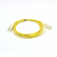 PATCH CORD SC-UPC/SC-UPC DUPLEX MM 50.0 5,0M